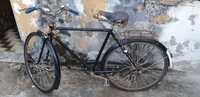 Bicicleta Pasteleira