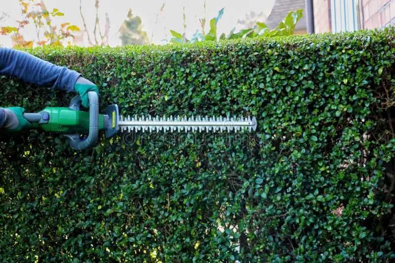 Serviços de Jardinagem e Manutenção