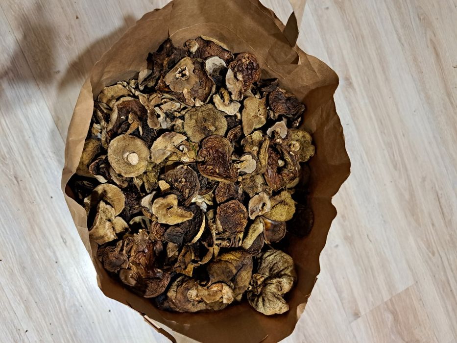 Grzyby suszone podgrzybki