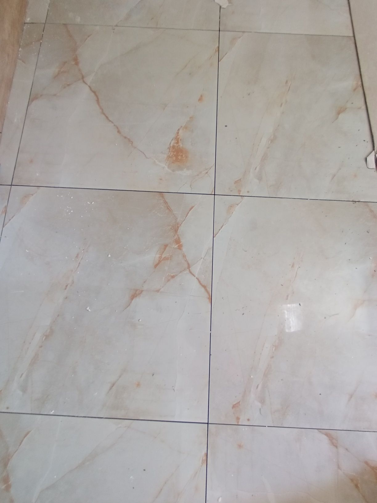 Gres szkliwiony 60x60