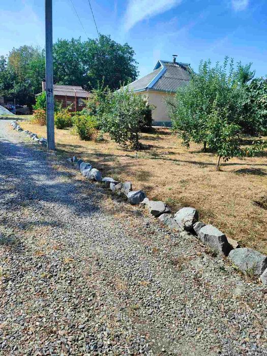 Гарний дачний будинок. Мачухи.