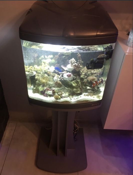 Akwarium morskie Boyu TL-450B