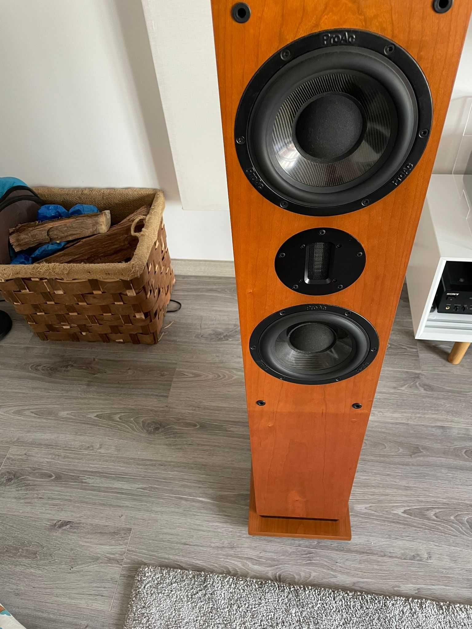 Colunas Proac D40 R
