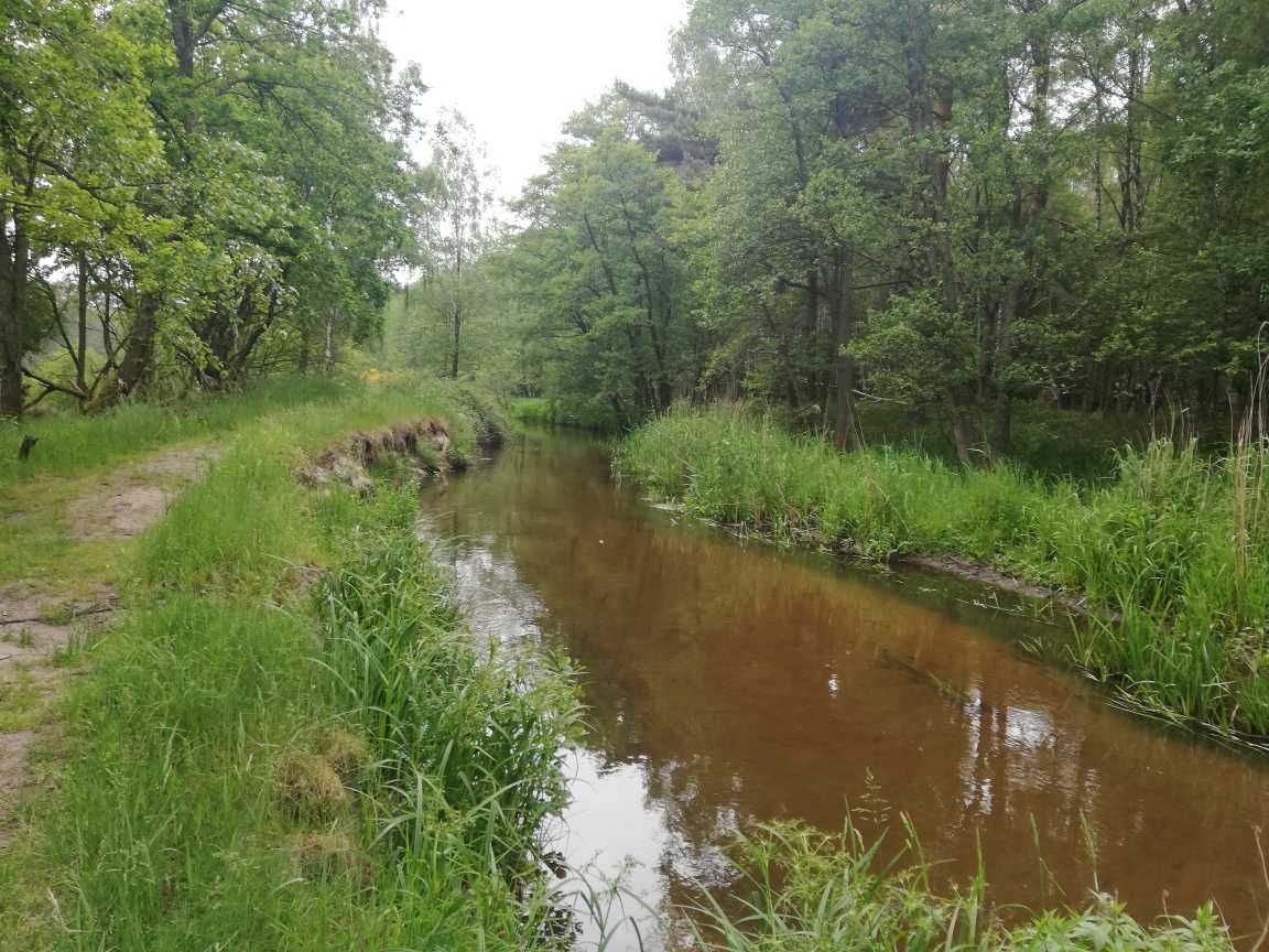 Domek letniskowy nad morzem Ulinia koło Łeby