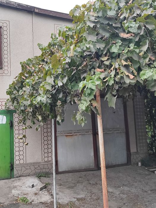 Продам трикімнатну квартиру з двоповерховим гаражем в центрі селища