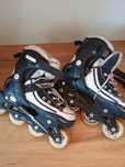 RolkiEnero abec 7.