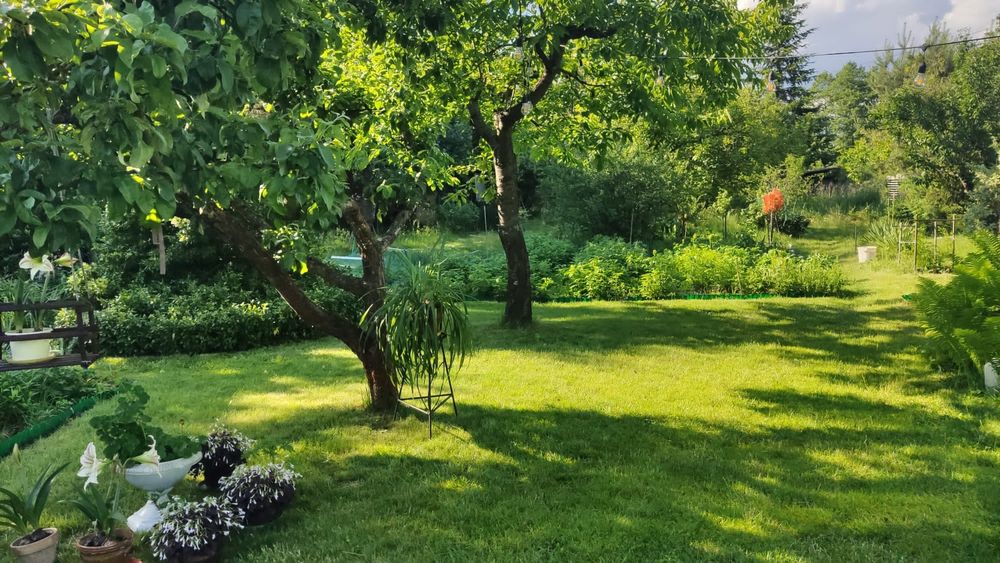 Przestronny dom 170m2 z ogrodem