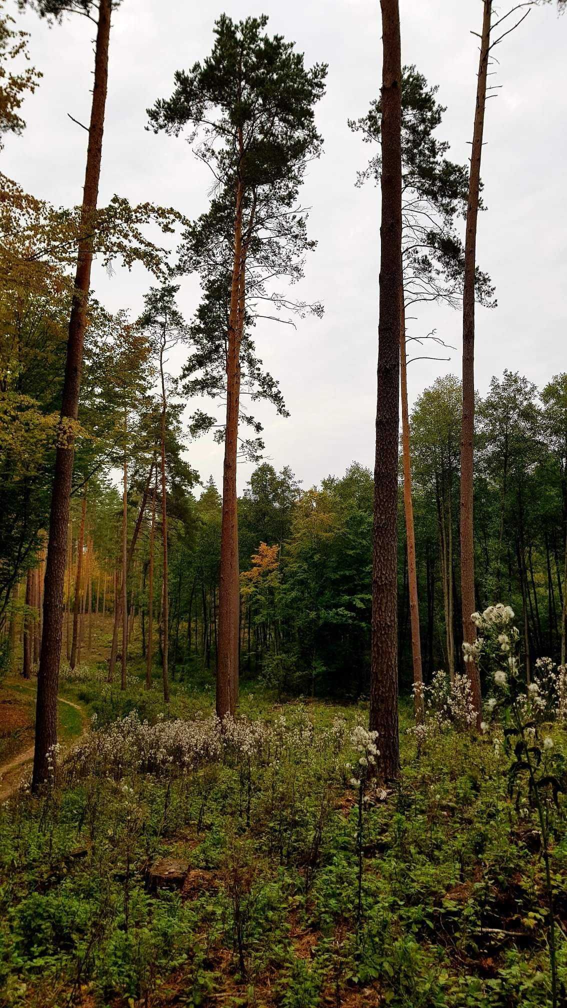 Atrakcyjna nieruchomość nad rzeką