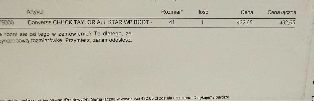 Converse Chuck Taylor All Star WP Boot - 41
