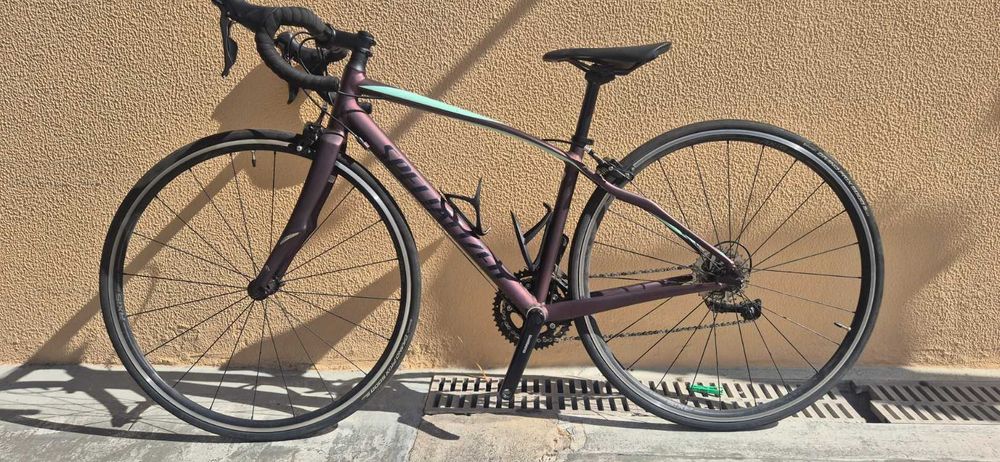 Specialized Dolce Women's Size 48