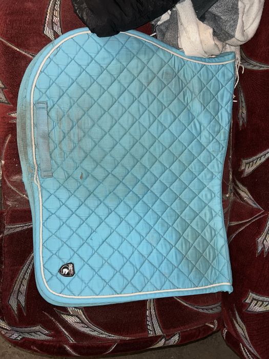 niebieski czaprak wszechstronny full