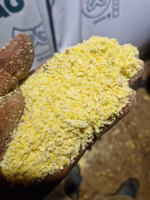 Śrutowanie Mielenie Pakowanie w rękaw Zbóż kukurydzy Śrutownik Agripak