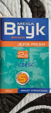 Mega Bryk jezyk polski