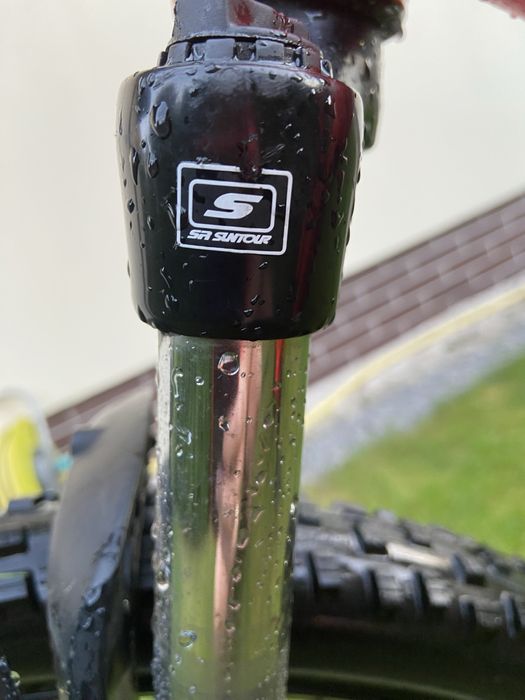 Rower Kellys Whip 10