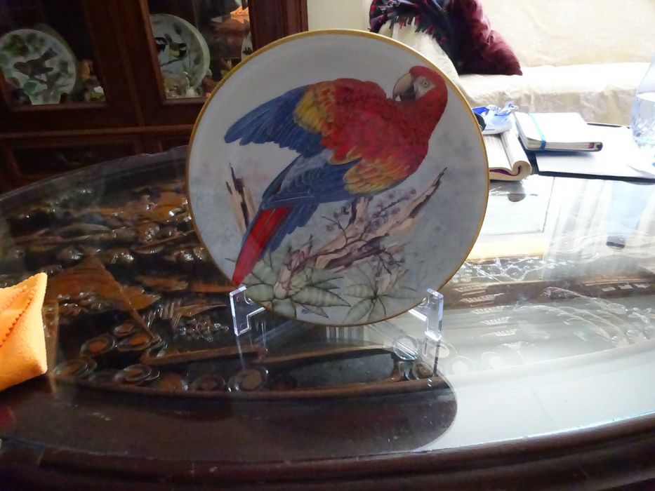 Pratos porcelana Aves Exóticas