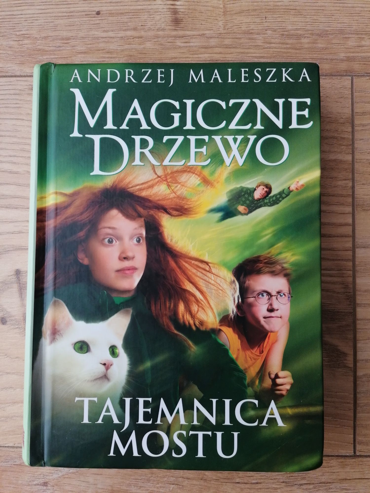 Książka "Magiczne drzewo: Tajemnica Mostu" autor Andrzej Maleszka