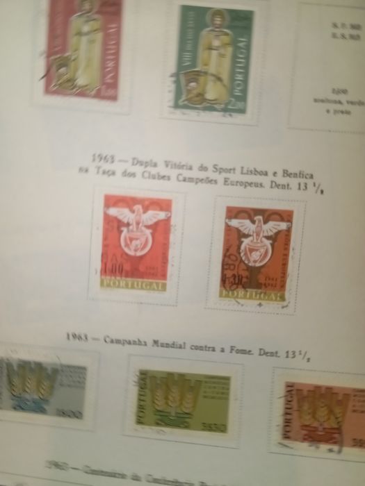 Selos tem selos do Benfica