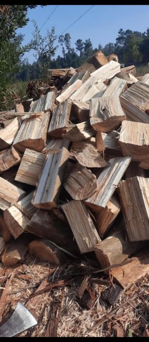 Vendo lenha seca