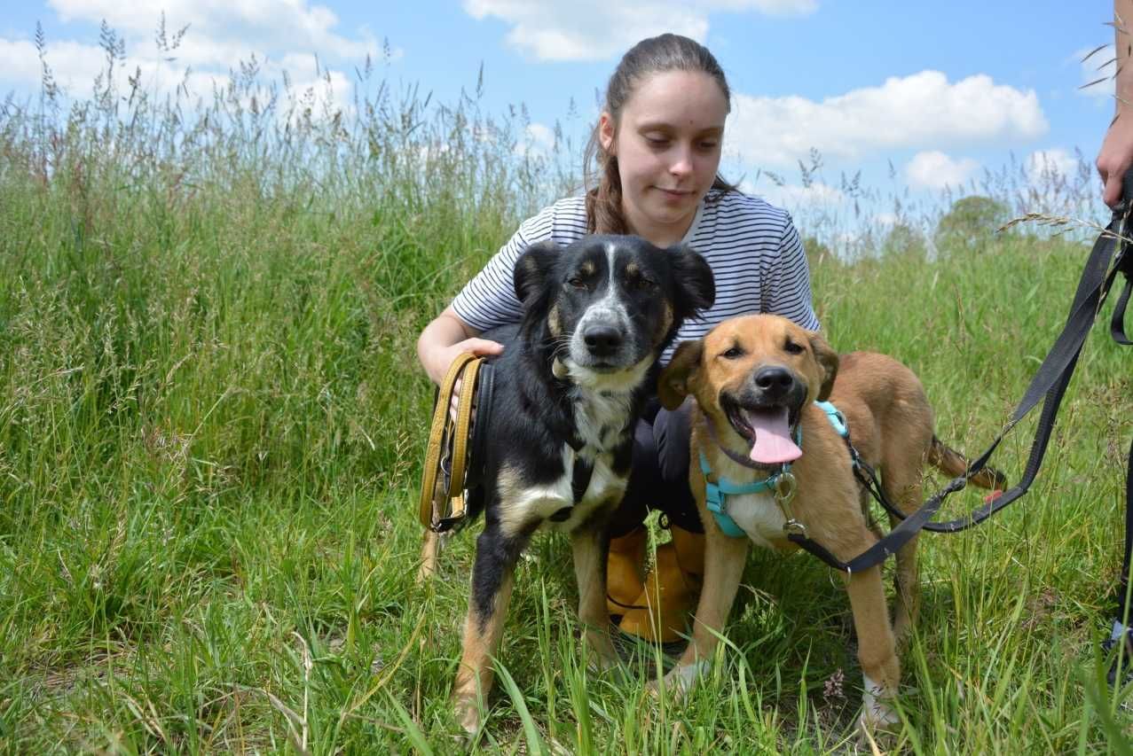 Pascal - radosny podrostek, musi się dużo nauczyć - do adopcji