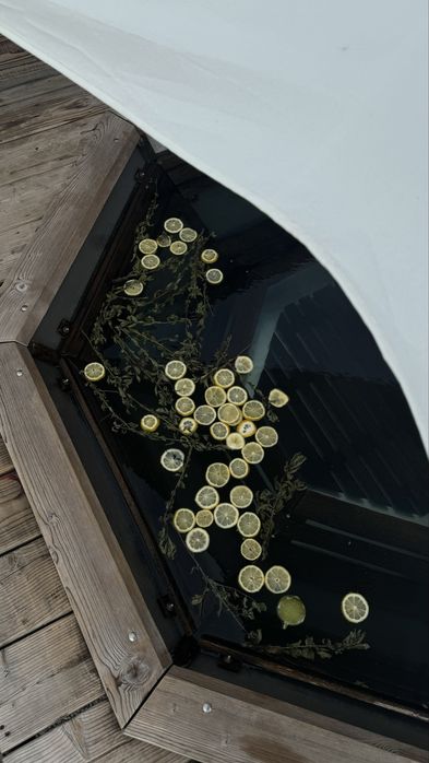 Оренда будинку з чаном, басейном, мангалом — Ужгород 15 хв