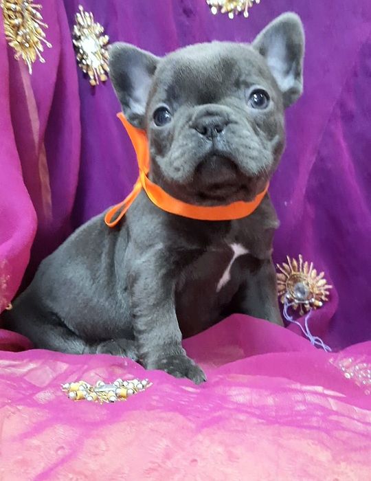 Блакитна зiрочка.дiвчинка.