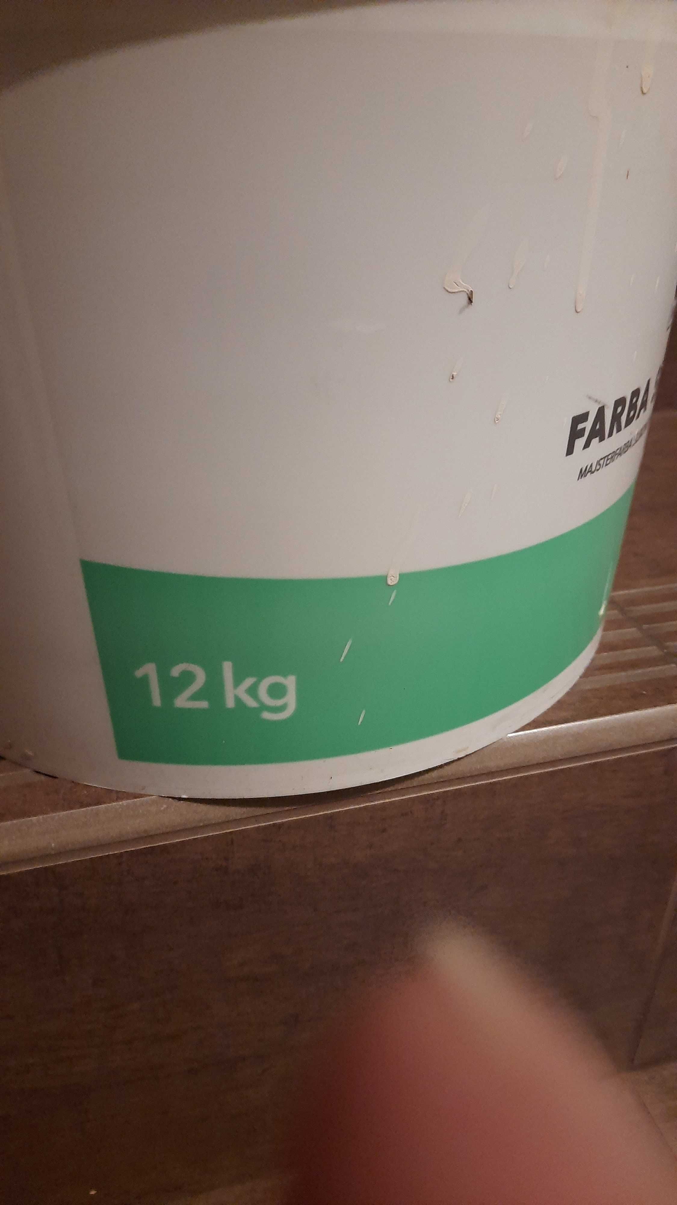 farba silikonowa na zewnątrz z Bio ochroną MajsterFarba 11,5l