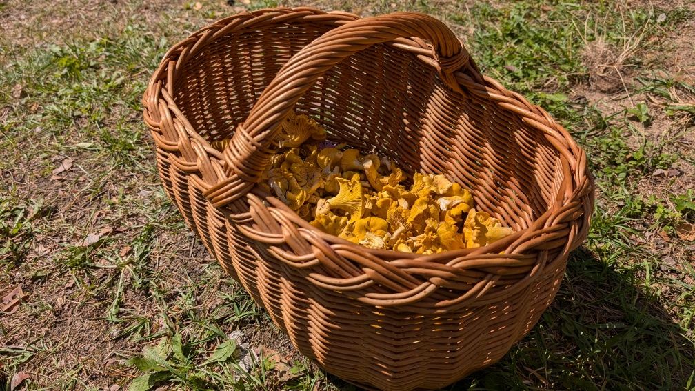 Domek nad jeziorem Jasień w Łupawsku