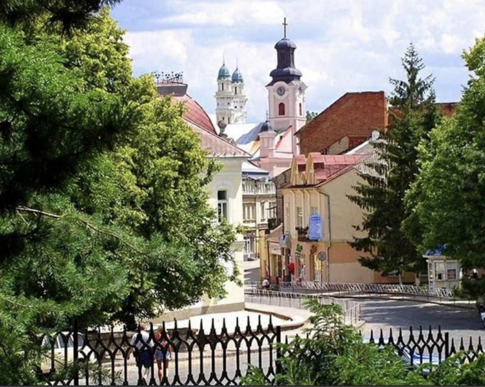 Довготривала оренда в центрі Ужгороду від власника