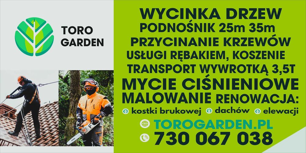 Wycinka drzew usługi ogrodnicze krzewów tui mycie kostki dachów elewac