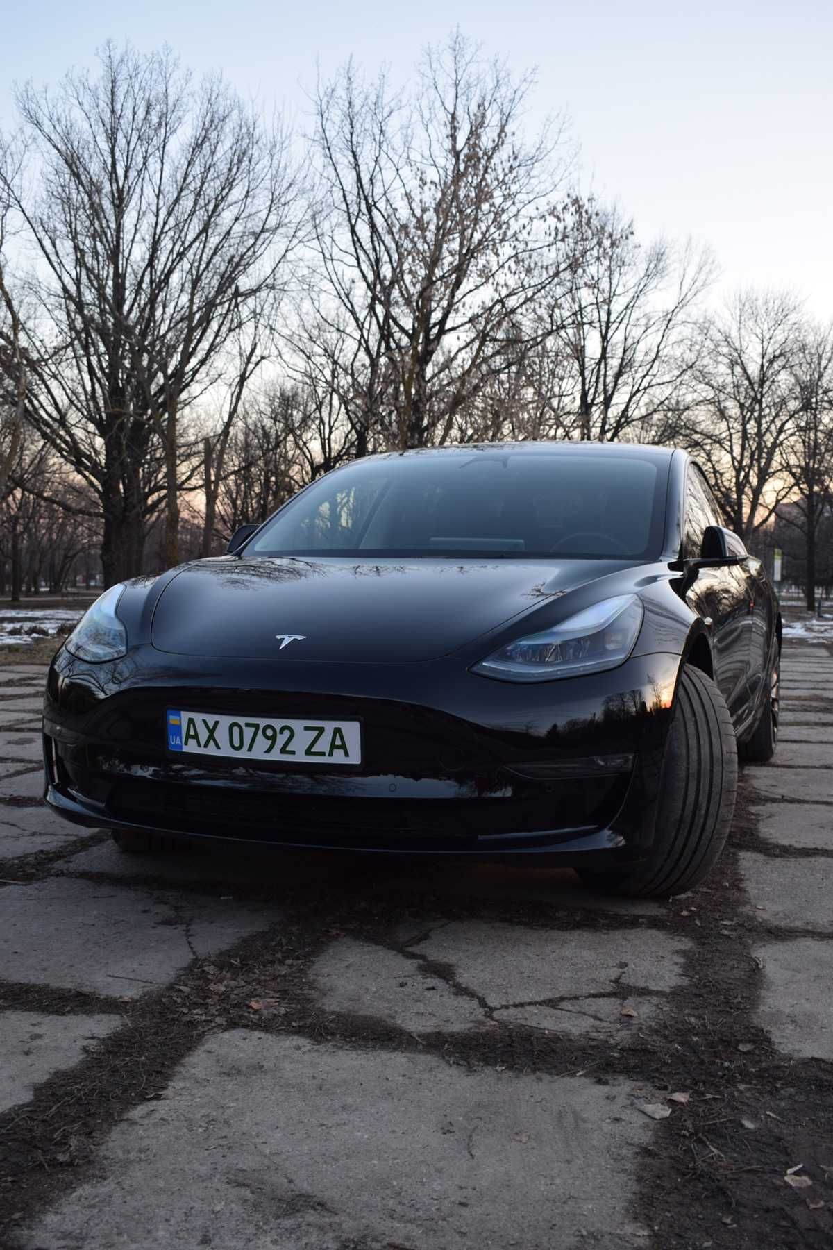 Tesla Model 3 Performance 82kWh (513 к.с.) AWD