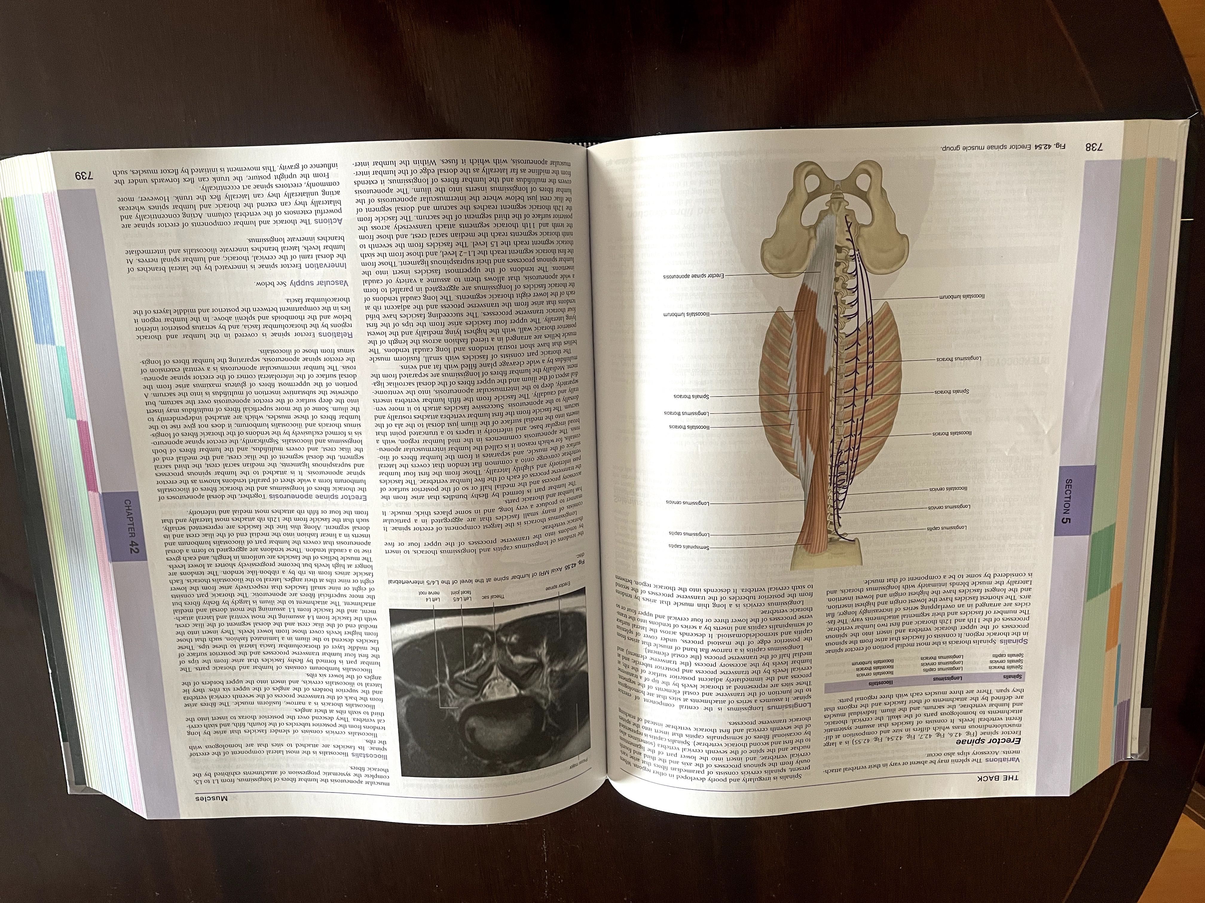 Gray's Anatomy 40th edition