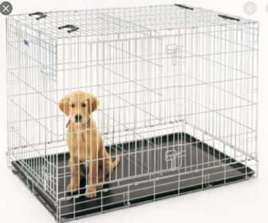 Аренда клеток для собак-ассортимент розмірів