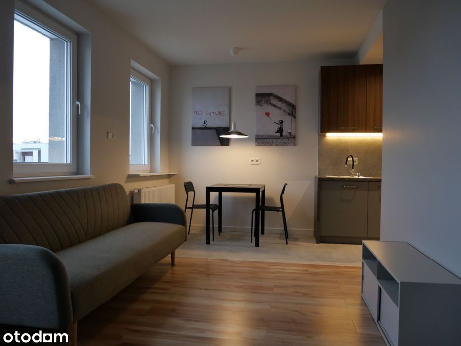 Rokietnica 2-pokojowe bezpośrednio wynajmę.