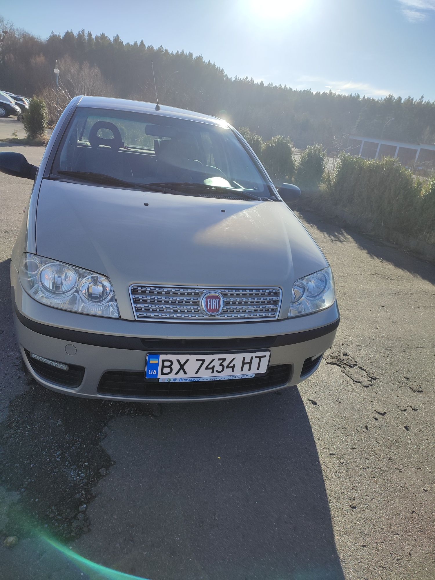 Fiat Punto 2010 рік