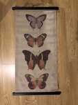 Tela decorativa