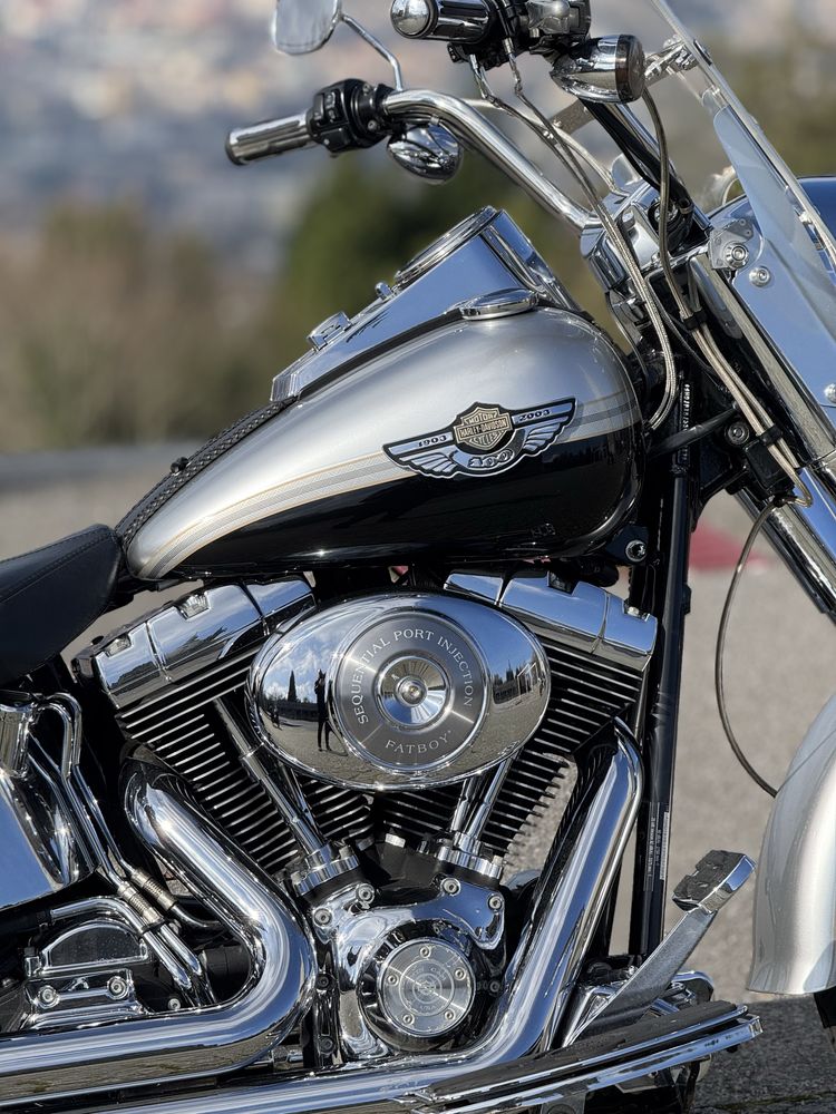 Harley davidson fat boy