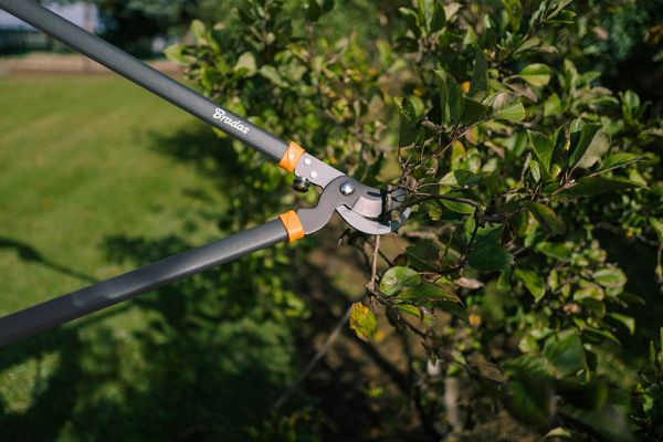 Nowy Duży Sekator 75cm do gałęzi BRADAS do 40mm W-wa Ursynów
