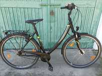 Rower damka Pegasus Avanti