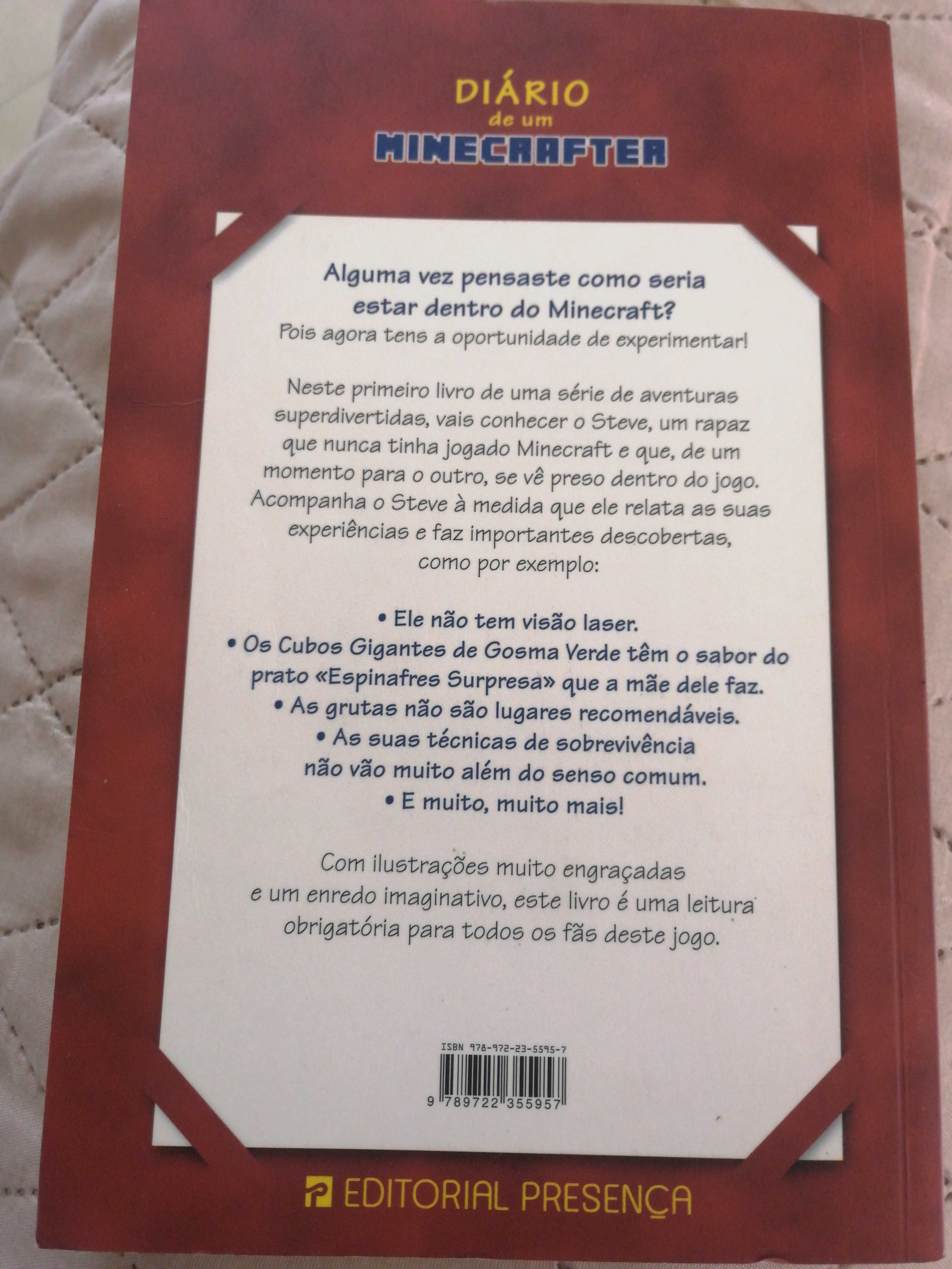 Livro Diário de um Minecrafter