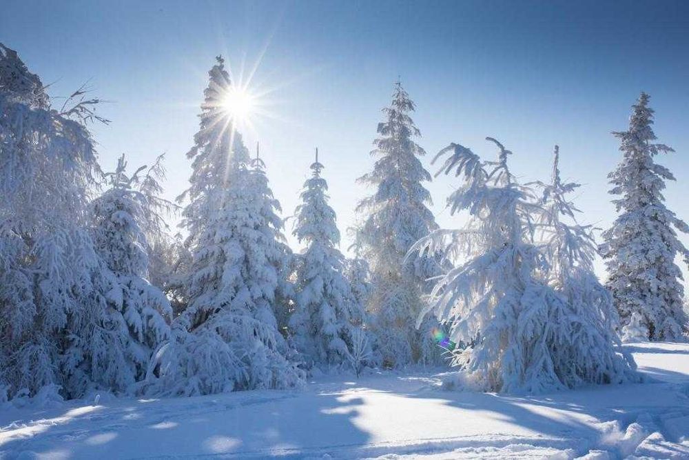 Uroczy domek w górach na wynajem | SYLWESTER