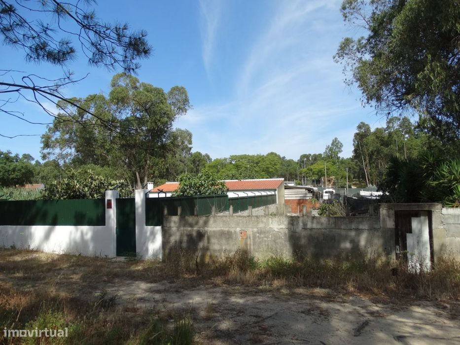 Lote de terreno na Quinta da Niza, Vale Milhaços