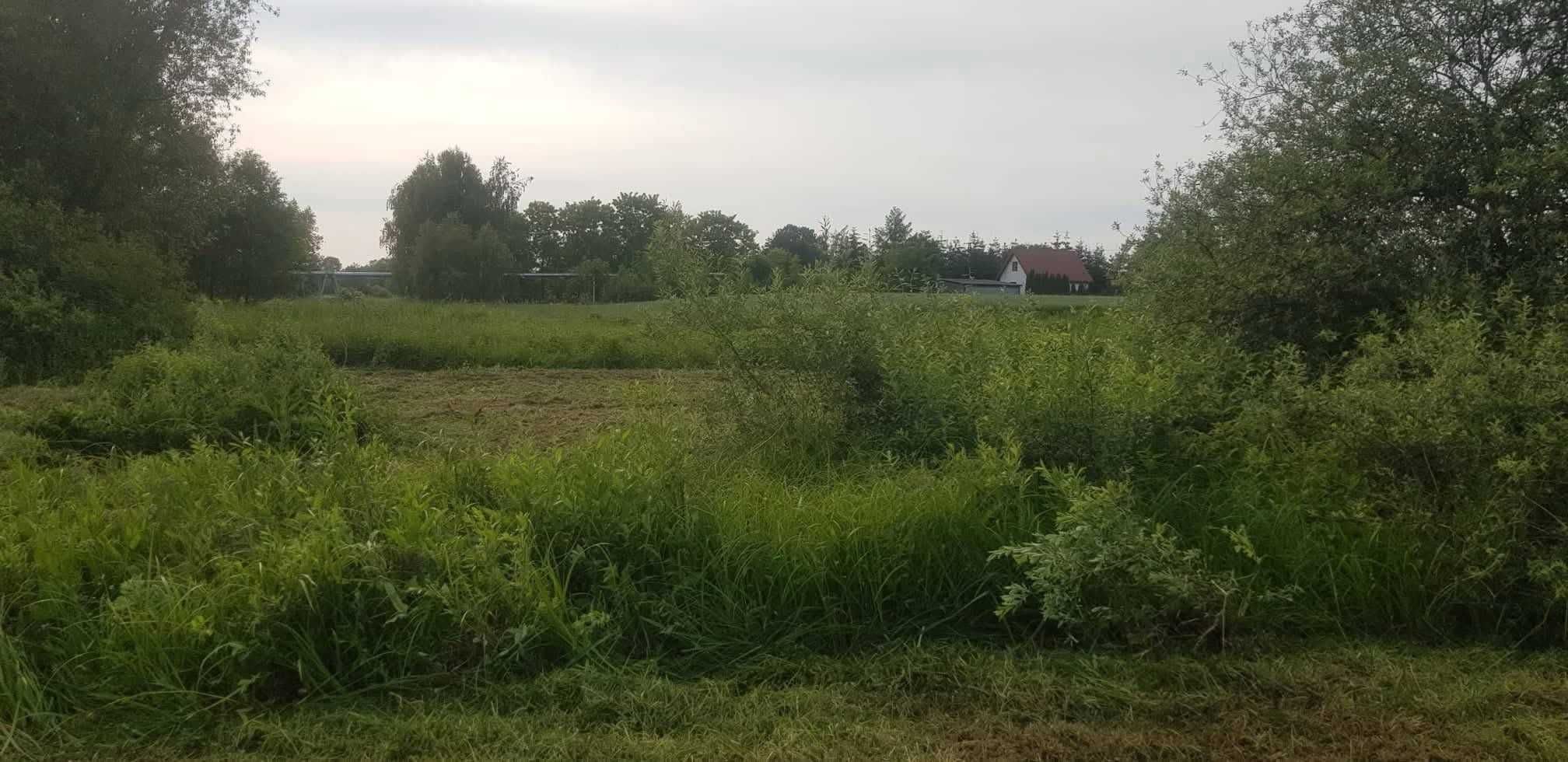 Dom, siedlisko- działka rolna nad rzeką Świnką Turowola, gm. Puchaczów