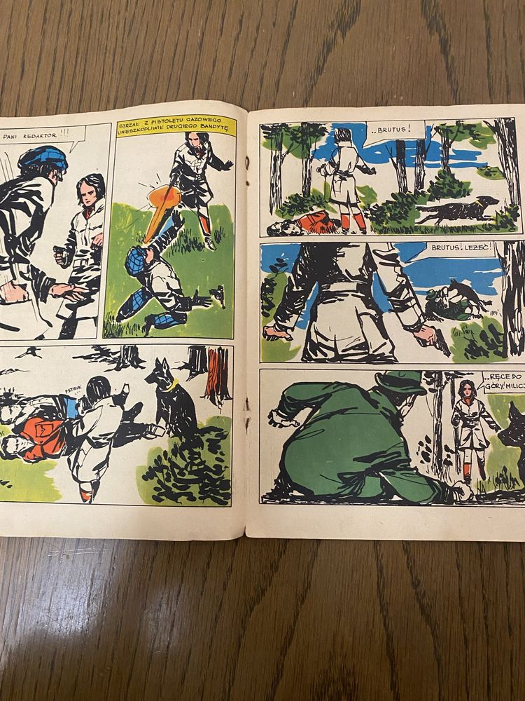 Kapitan Żbik. Ryzyko 2. wyd. 1 r. 1967 Z. Sobala komiks PRL
