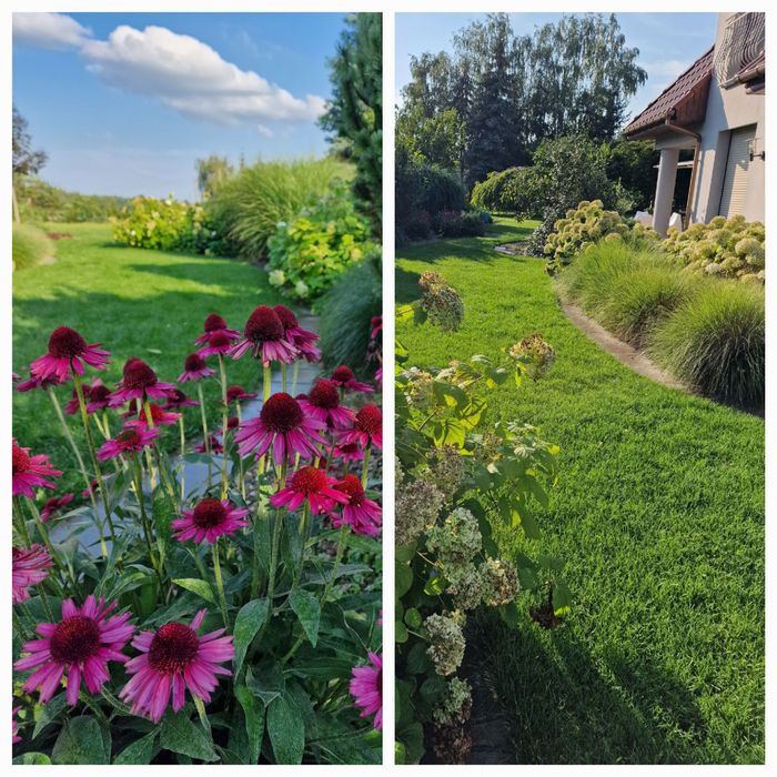 Ogrody, systemy nawadniania, drenaże, studnie, oświetlenie...