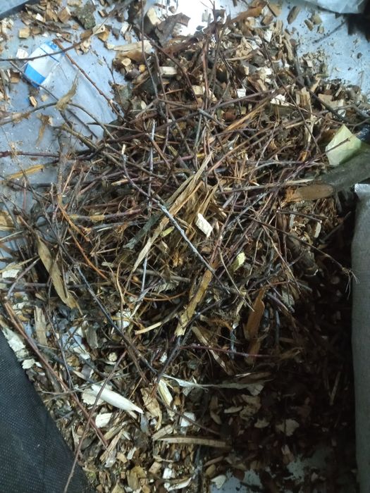 Щепа фруктових та листяних дерев для домашніх тварин та коптіння