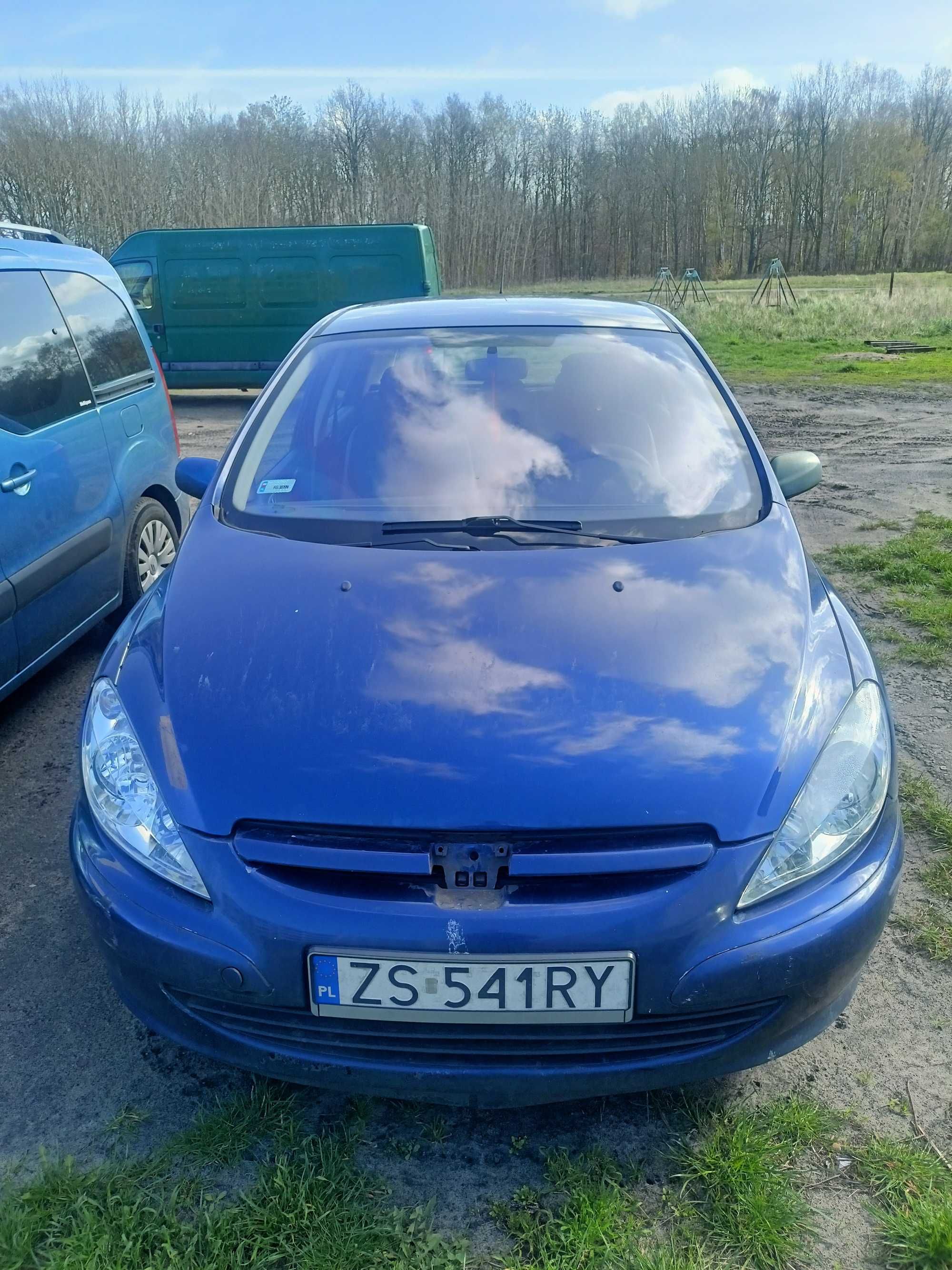 Peugeot 307 benzyna 2002 rocznik