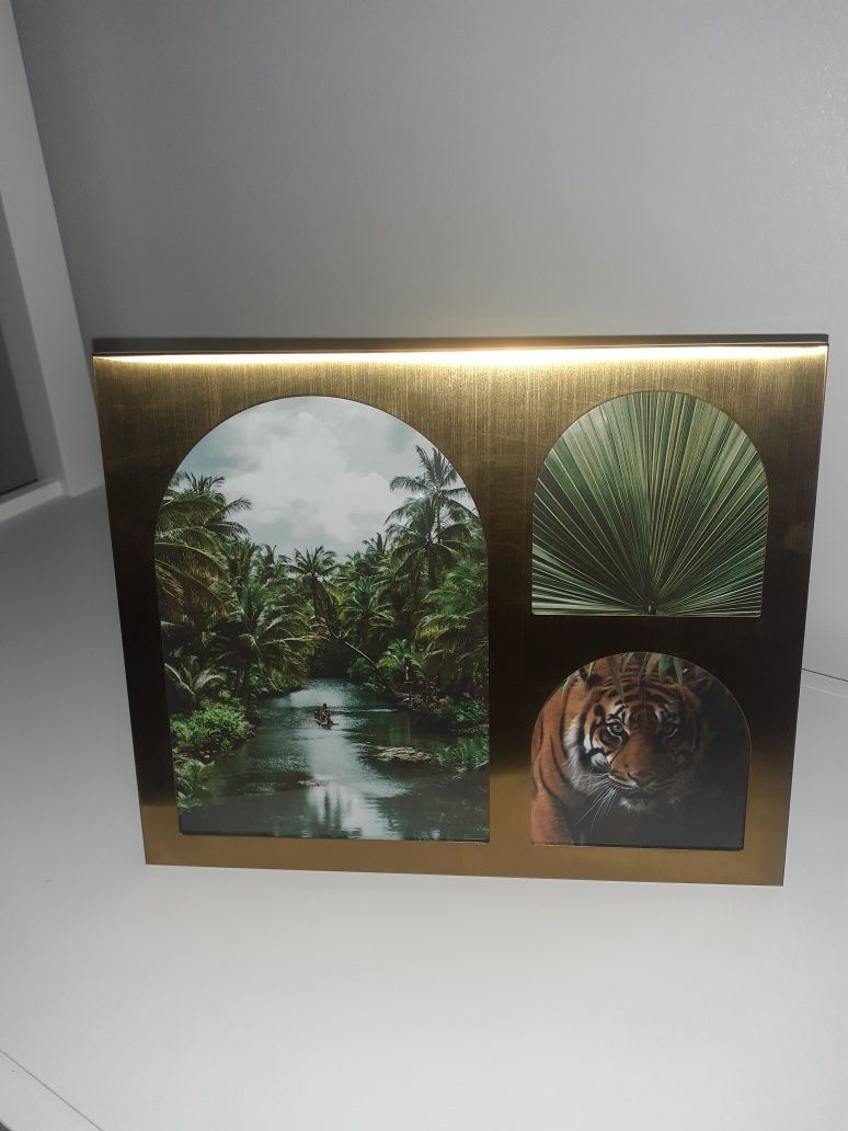 Moldura dourada nova. Homa