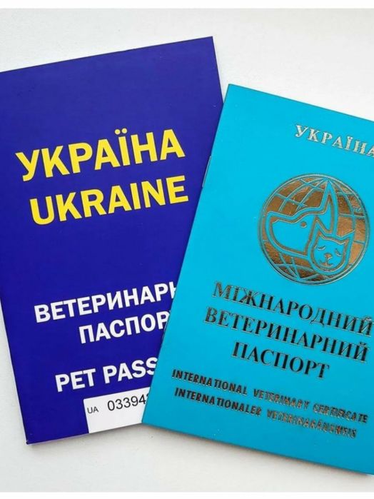 Документи для виїзду за кордон для тварин