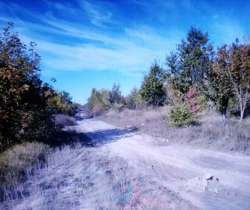 Земельна ділянка під забудову 10 соток у с. Музичі