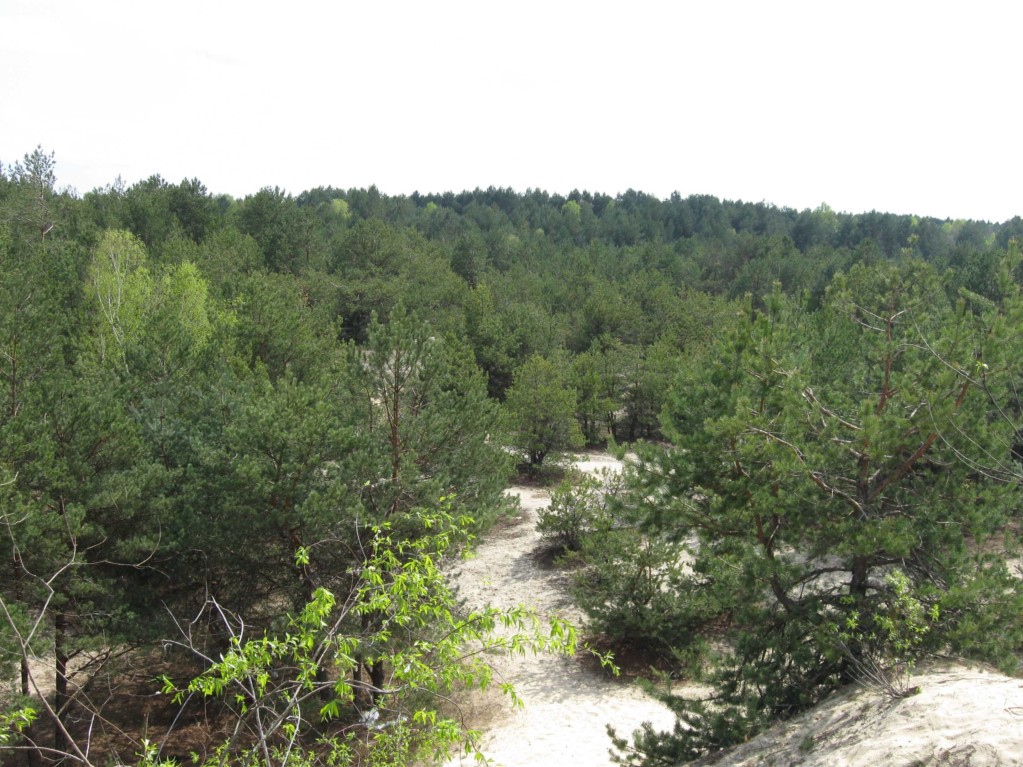 Відпочинок на озері Луки, будинок відпочинку, чиста вода, 50м пляж